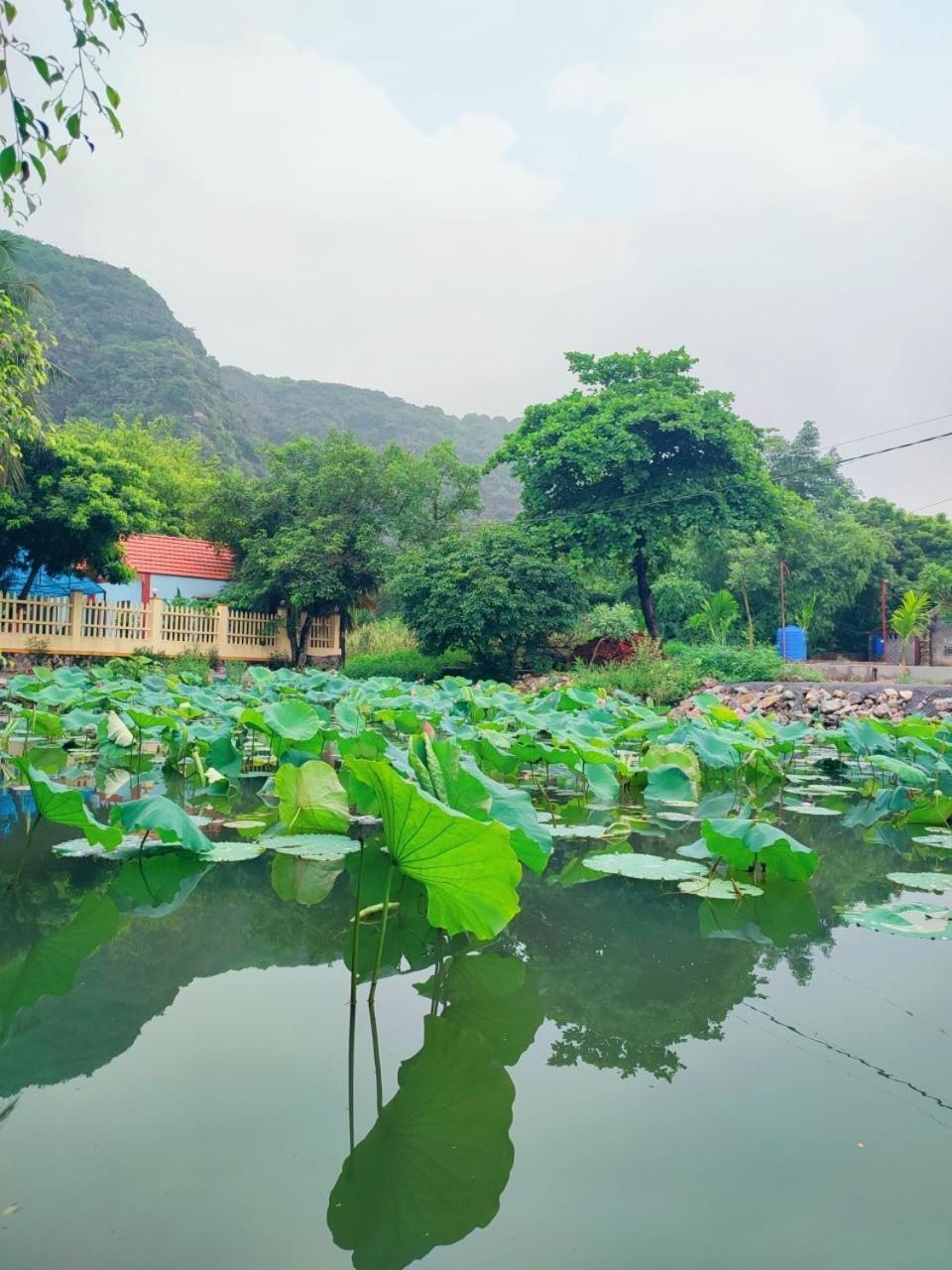 Trang An Natural Mountainside Homestay Ninh Binh Bagian luar foto