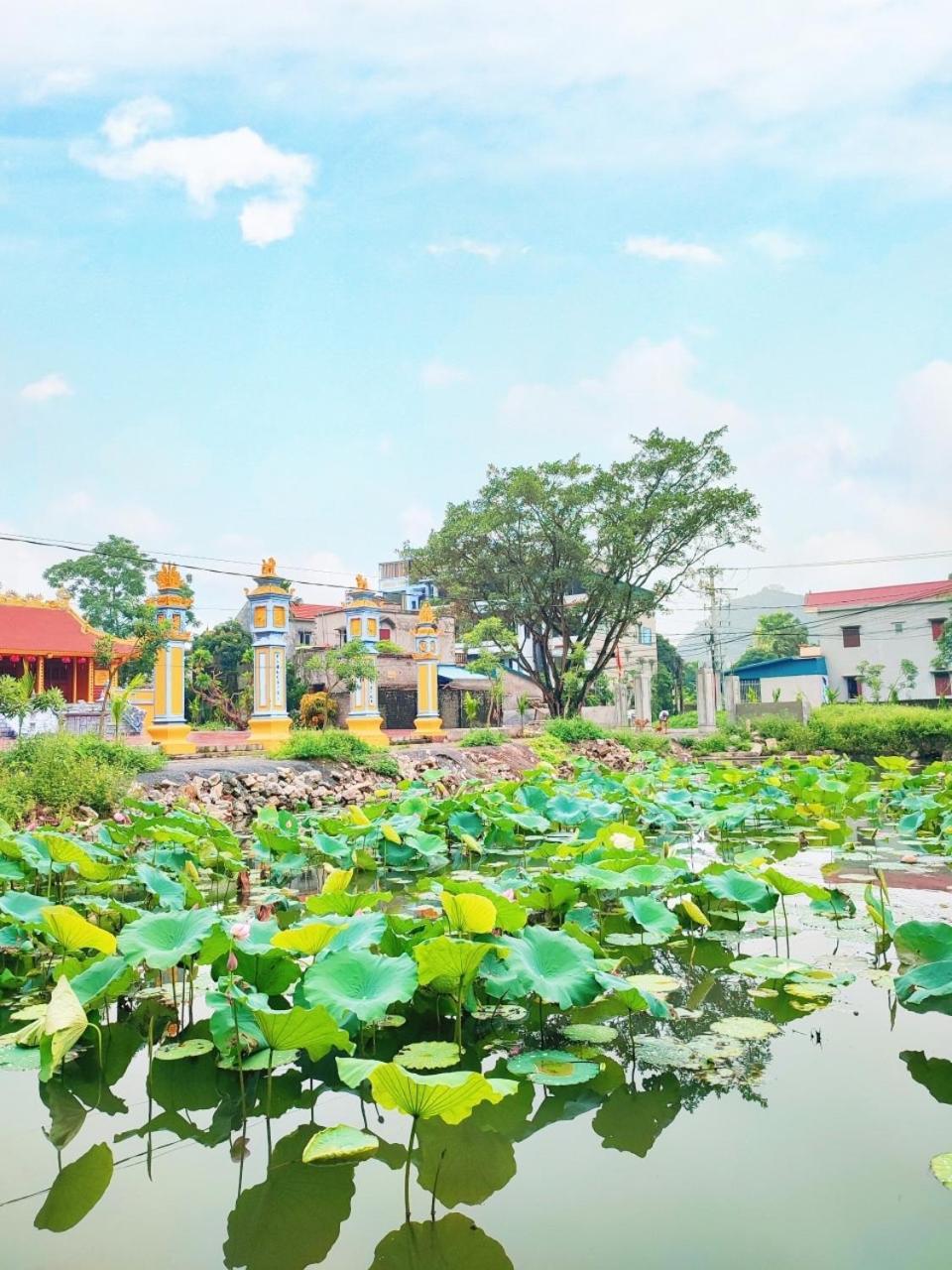 Trang An Natural Mountainside Homestay Ninh Binh Bagian luar foto