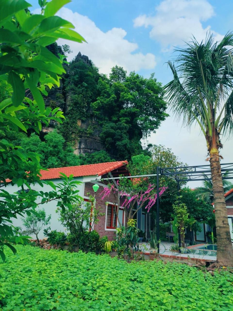 Trang An Natural Mountainside Homestay Ninh Binh Bagian luar foto