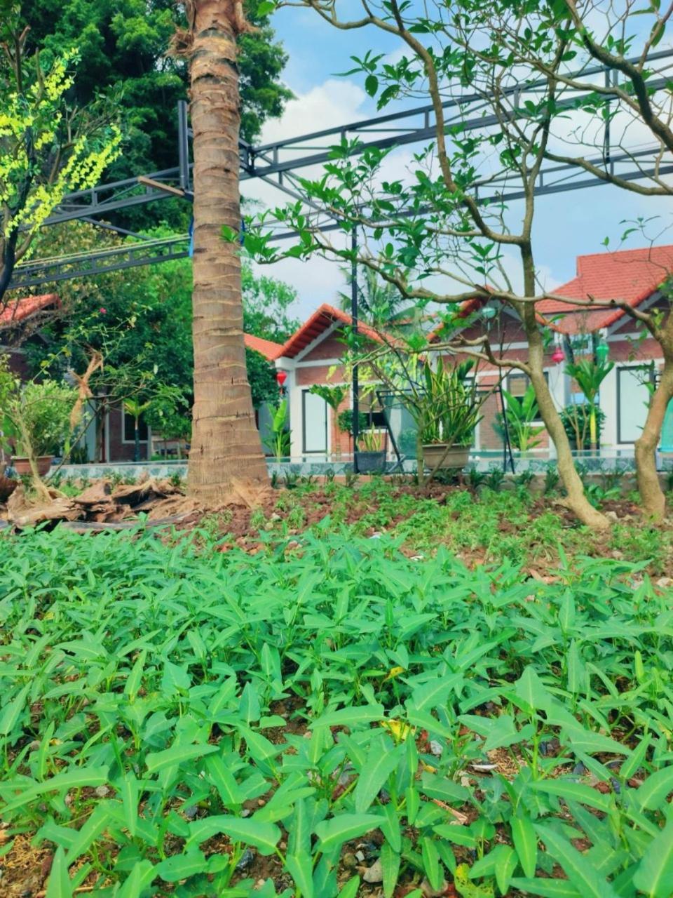 Trang An Natural Mountainside Homestay Ninh Binh Bagian luar foto