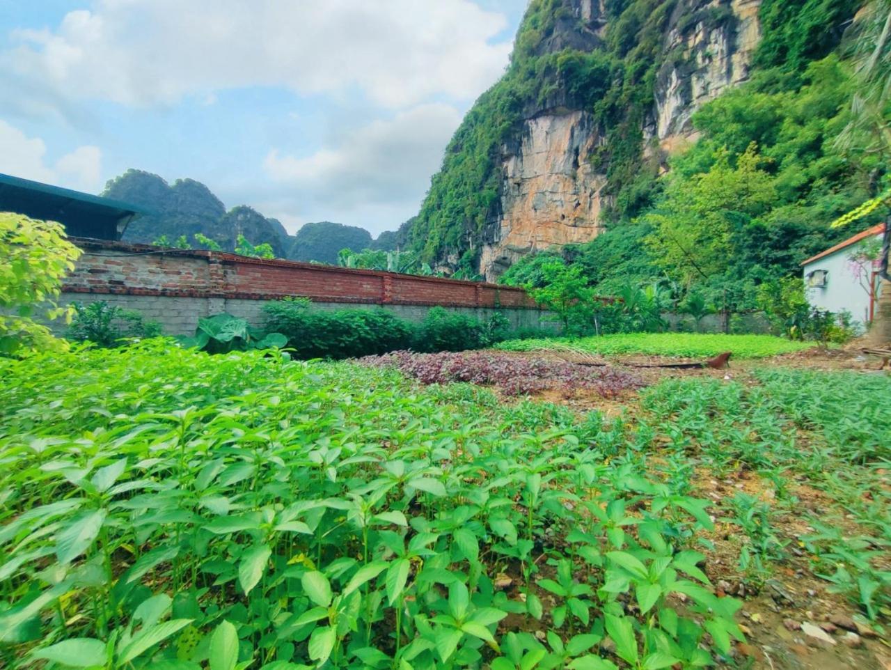 Trang An Natural Mountainside Homestay Ninh Binh Bagian luar foto