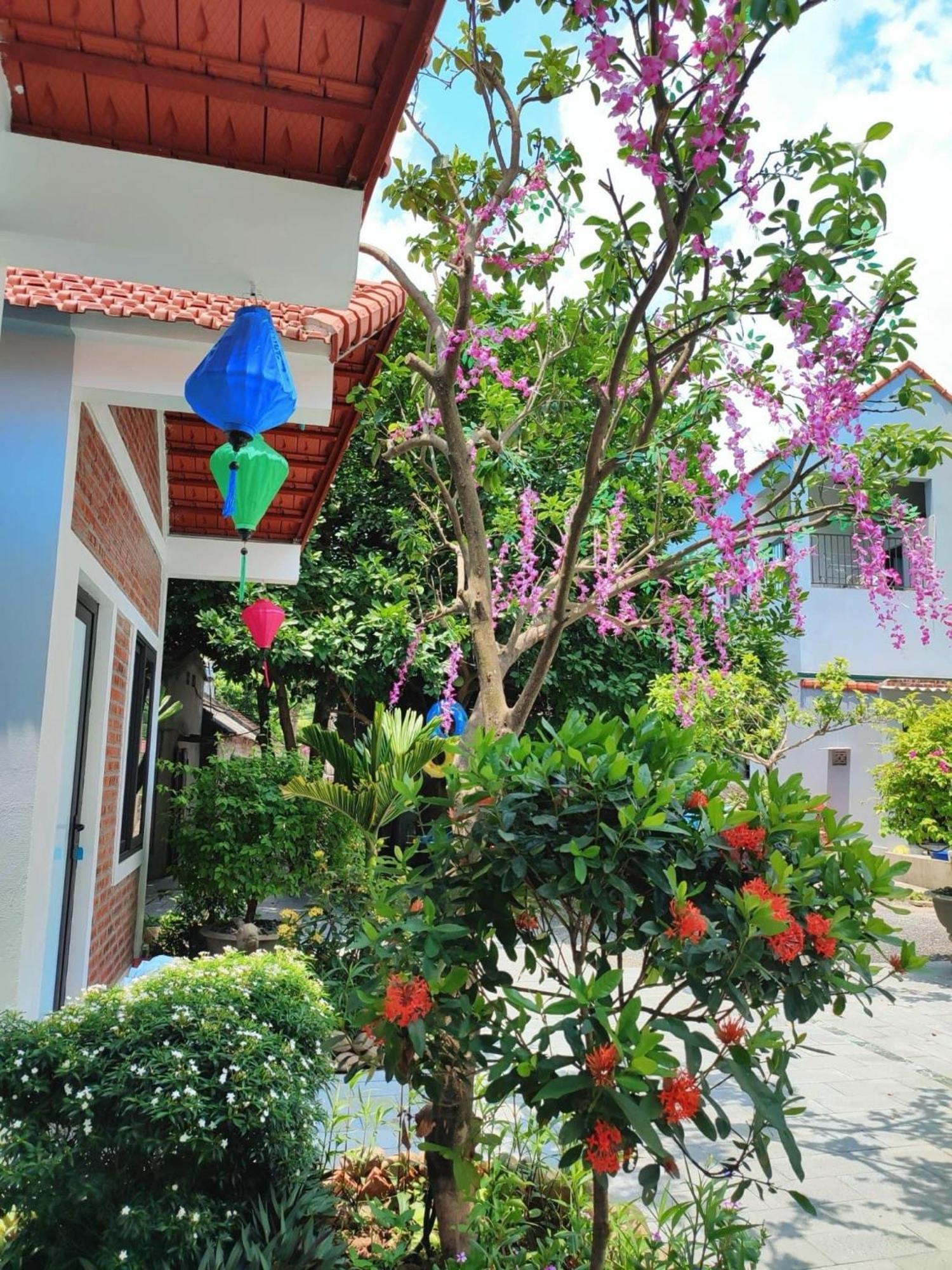 Trang An Natural Mountainside Homestay Ninh Binh Bagian luar foto